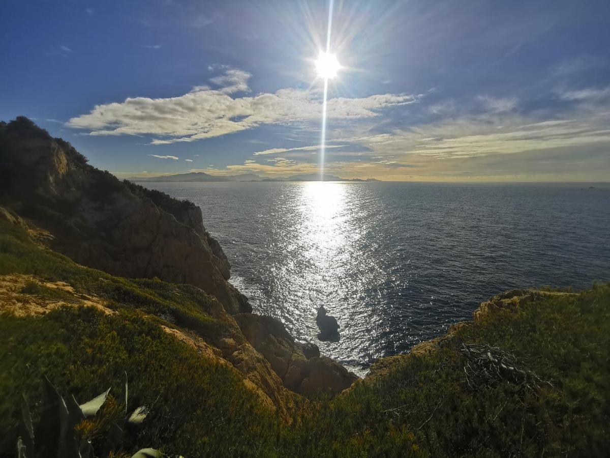 La Terrasse Ensoleillée De - Côte Bleue